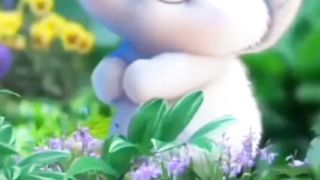 cute cat