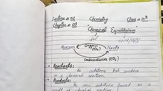 Chemical Equilibrium | 10th Class Chemistry | Majid Ali