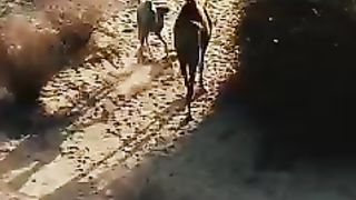 Tribal people