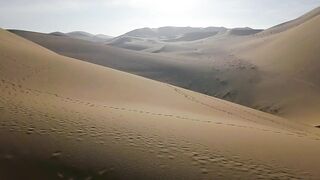 Пустыня сахара путешествует вместе