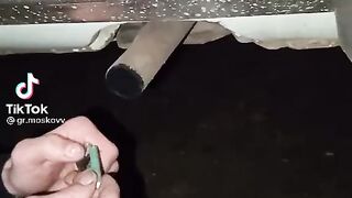 аахахахахах