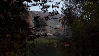 Они напали на нашу лесную базу - DayZ