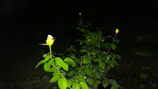 Лучшее залипательное видео! 2