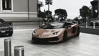 Billionaires life