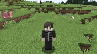 Minecraft 7