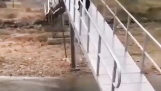 Забыл про тормоз