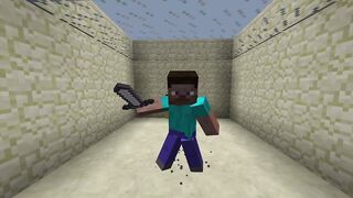 Steve vs Dummy