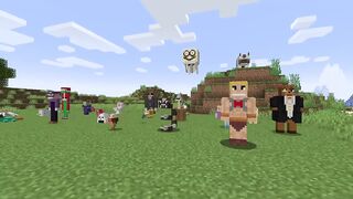 Minecraft mod