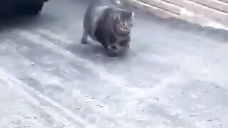 Авторет на районе