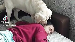 Собака не дает спать