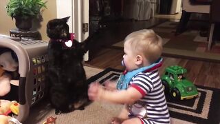 Котики 4