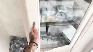 Бабосы