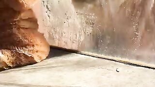 Lion ????
