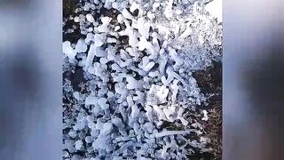 Short beautiful video