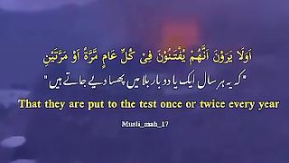 Sura tobah