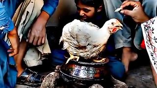 Funny video about chicken rate 650