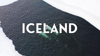 Iceland at a glance