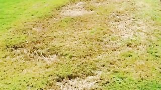 0% luck 100% laughter #funny #viral