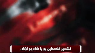 Kashmir Video