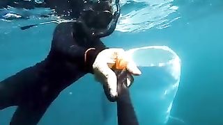 Whale shark ????