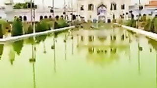 Janam fida e hydri yaa ali