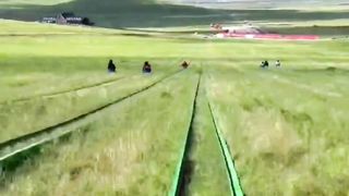 Adventure on a slide ????????