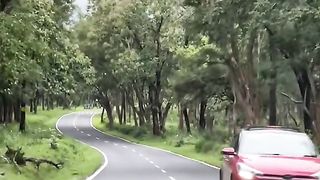 Enjoy
