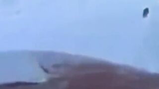 Turkey: Dog guide to rescue team