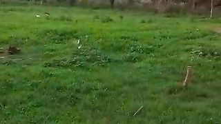 For Nature Lovers