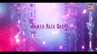Hafiz Ahmed Raza Qadri