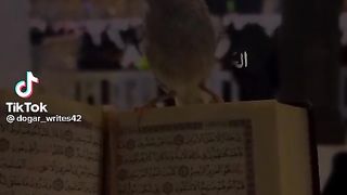 ا لحمد اللہ