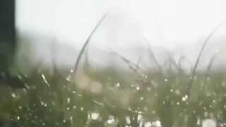 Al Quran
