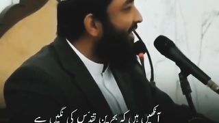 اس سے بہتر انداز میں شاید ہی کسی شاعر نے سیرت النبی ﷺ بیان کی ہو ❤????????