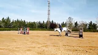 HOW TO JUMP A HORSE  I  My Riding Routine for Jumping