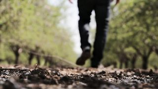 Walking