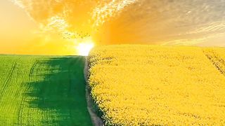 Most beautiful video - Natural beauty video