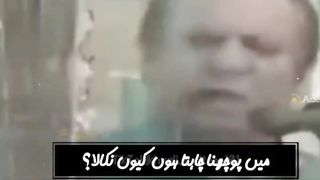 Fun video clips