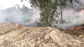 Jungle Me Aag Lag Gai ???????? - Achanak Long Drive Ka Plan Ban Gaya ???? SUCKY BHAI