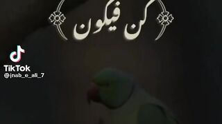 کن فیکون