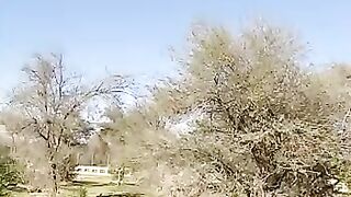 Picnic