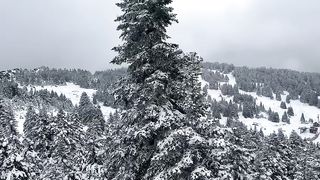 Snow in Turkeye