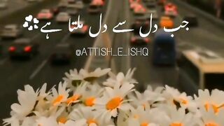 Entertainment shorts stroies/informative clips/Ray5060