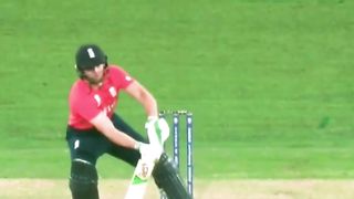 Cricket