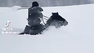 Snow horse riding