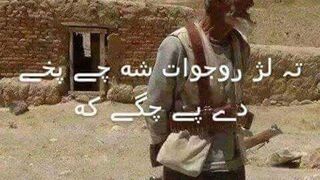 Pashto funny video