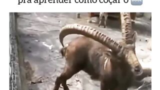 Sakoon Ka naam suna he Kisi ne