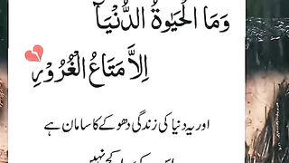 اور یہ دنیا کی زندگی دھوکے کا سامان ہے ...... پلیز اشتہار پر کلک کریں