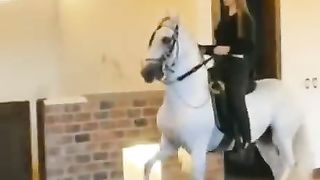 Turbo Tippy Taps Amazing