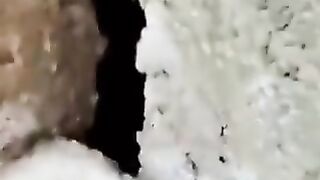 Earthquake surviver cat 5 days
