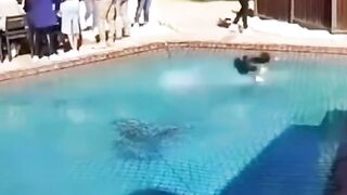 Dog run on water ????????????